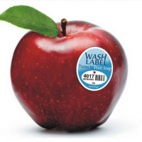  - etiquetas tlaquepaque,zapopan