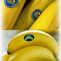  - proveedor etiquetas zapopan,mexico