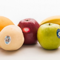  - jalisco, etiquetas zapopan