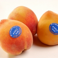  - etiquetas mexico,etiquetas de stock